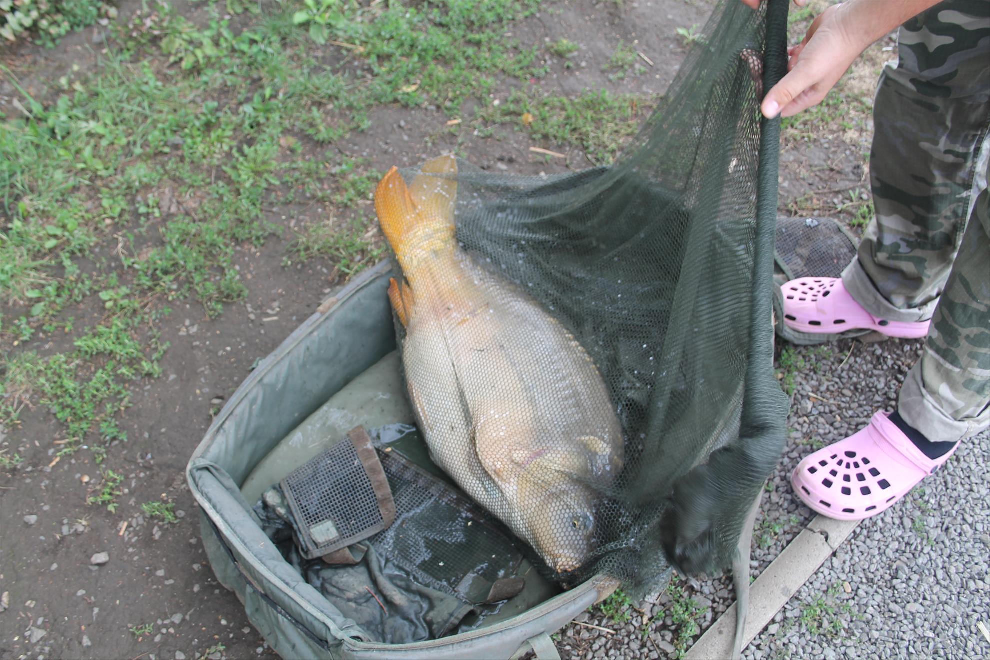 Nagykallo 28aug-01sep 2013 - nagykallo-2014-042.JPG